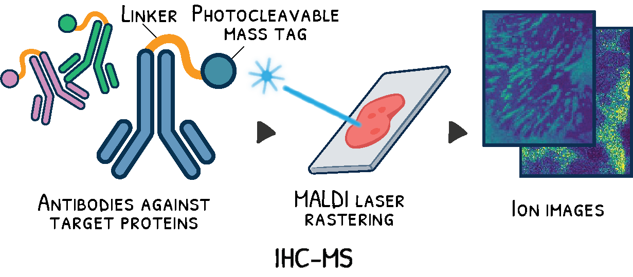 QPC Imaging Mass Spectrometry Overview