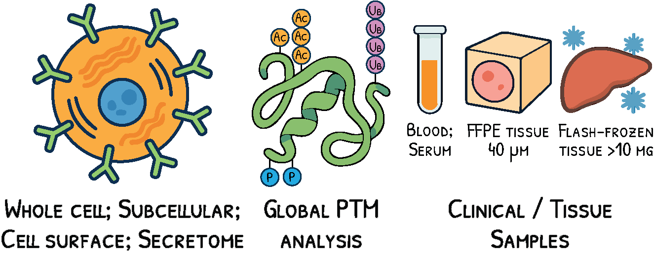 QPC Proteome Analysis Overview